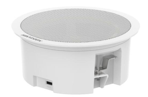 Hikvision DS-QAZ1206G1-BE